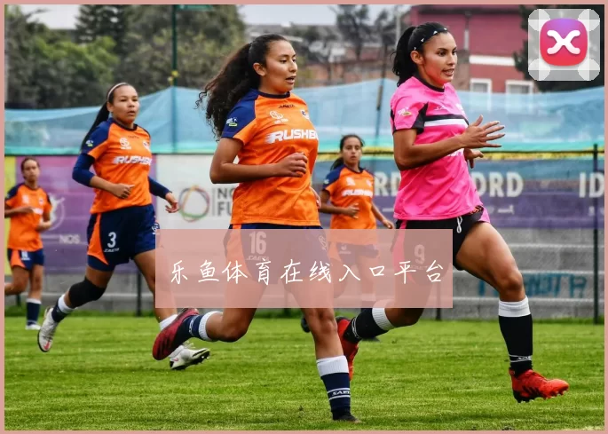 乐鱼体育在线入口平台