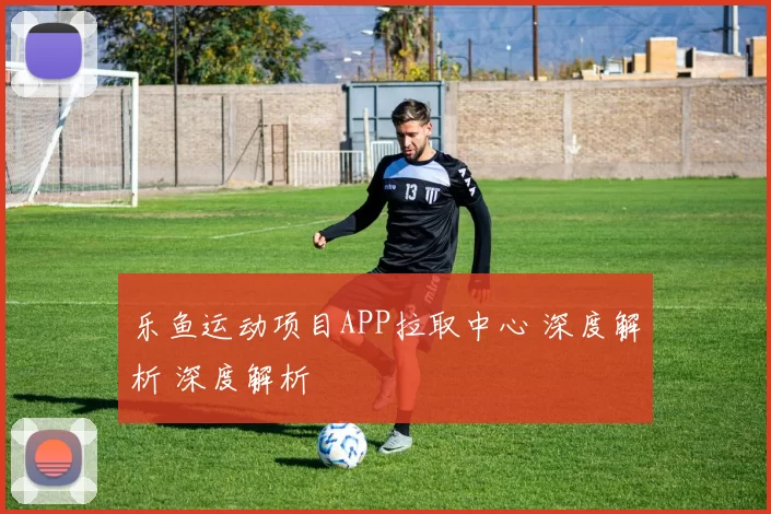 乐鱼运动项目APP拉取中心 深度解析 深度解析