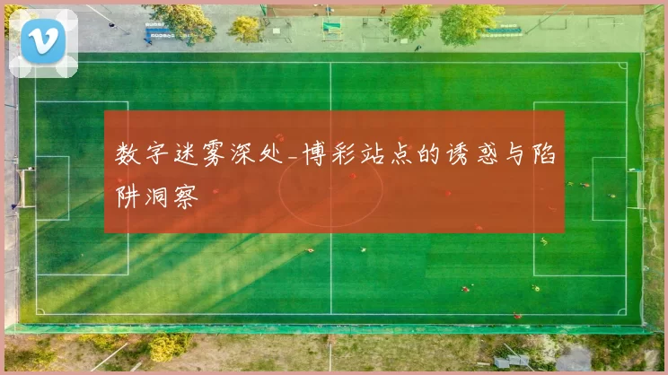 数字迷雾深处_博彩站点的诱惑与陷阱洞察