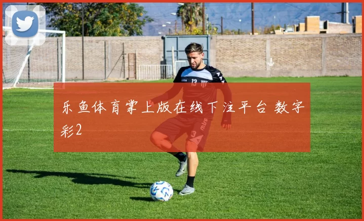 乐鱼体育掌上版在线下注平台 数字彩2