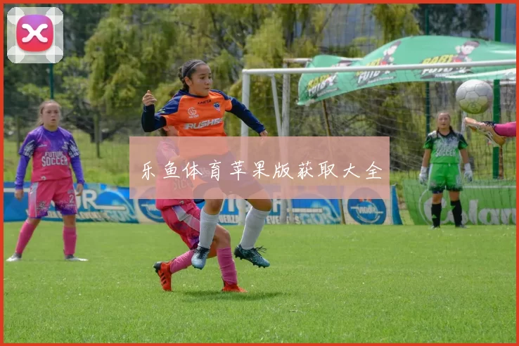 乐鱼体育苹果版获取大全