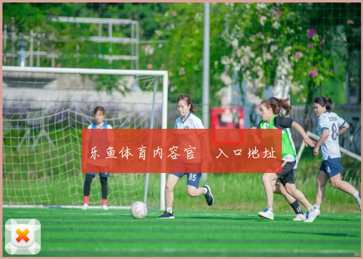 乐鱼体育内容官網入口地址