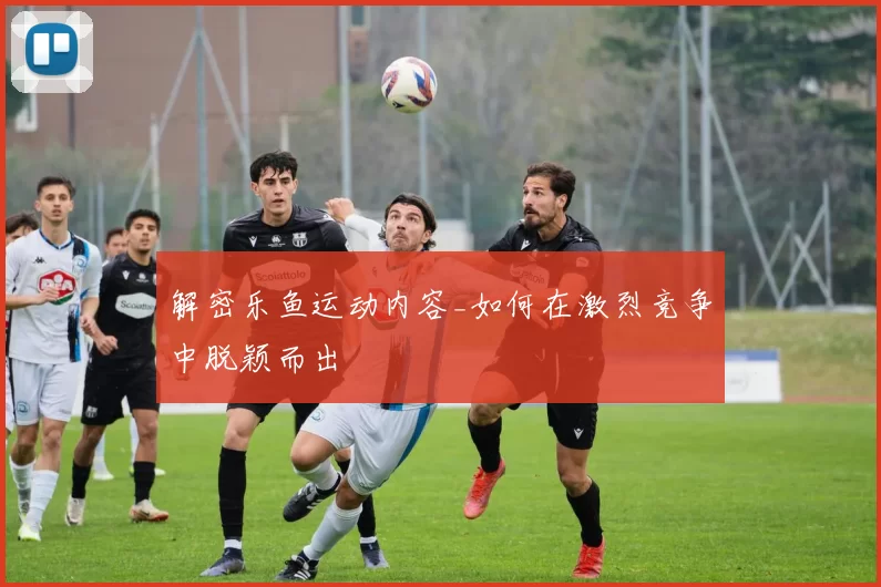 解密乐鱼运动内容_如何在激烈竞争中脱颖而出