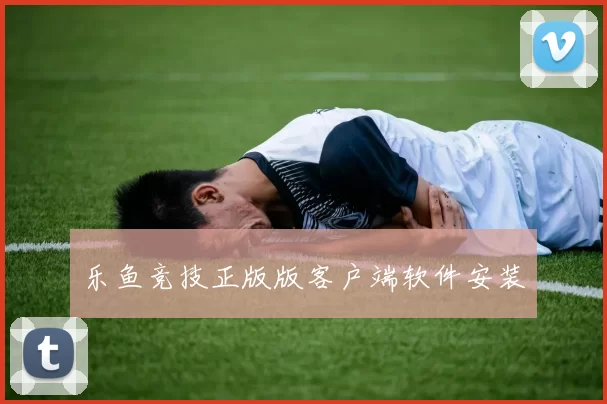 乐鱼竞技正版版客户端软件安装