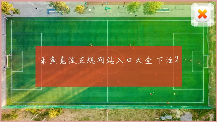 乐鱼竞技正规网站入口大全 下注2