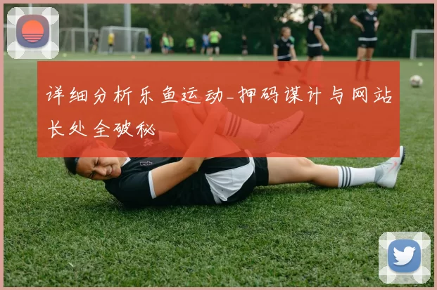 详细分析乐鱼运动_押码谋计与网站长处全破秘