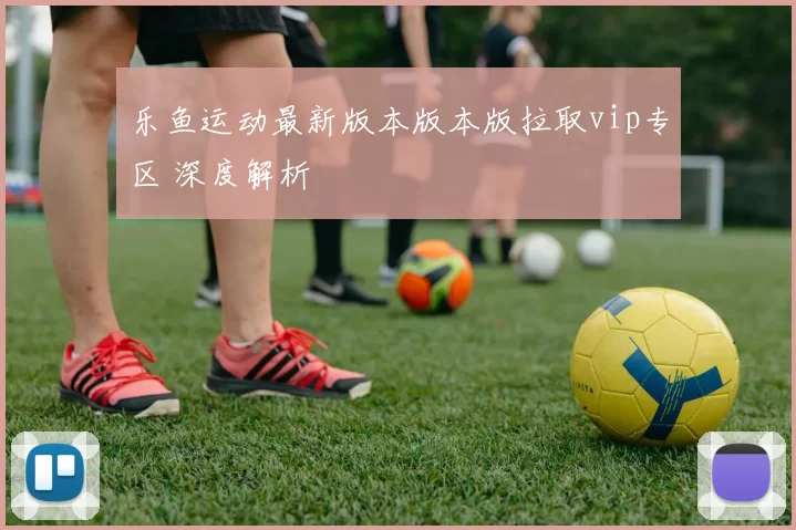 乐鱼运动最新版本版本版拉取vip专区 深度解析