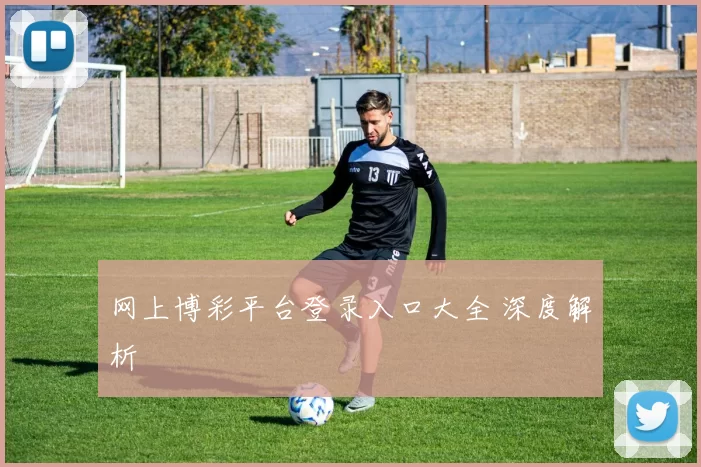 网上博彩平台登录入口大全 深度解析